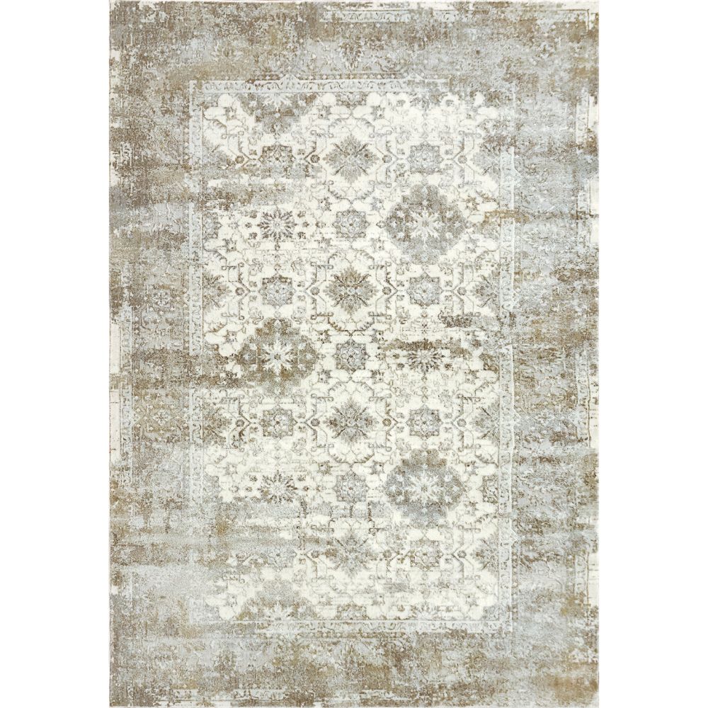 Dynamic Rugs 3534-109 Castilla 2 Ft. X 3.11 Ft. Rectangle Rug in Cream/Silver